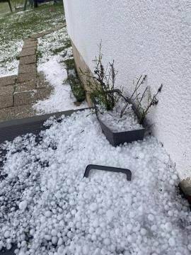 Kot oreh velika toča